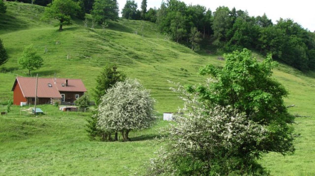Kaufhold Ferienwohnung Immenstadt im Allgäu Esterno foto